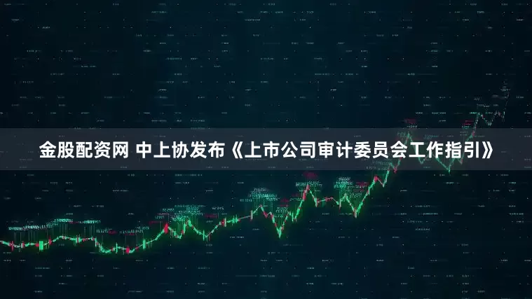 金股配资网 中上协发布《上市公司审计委员会工作指引》