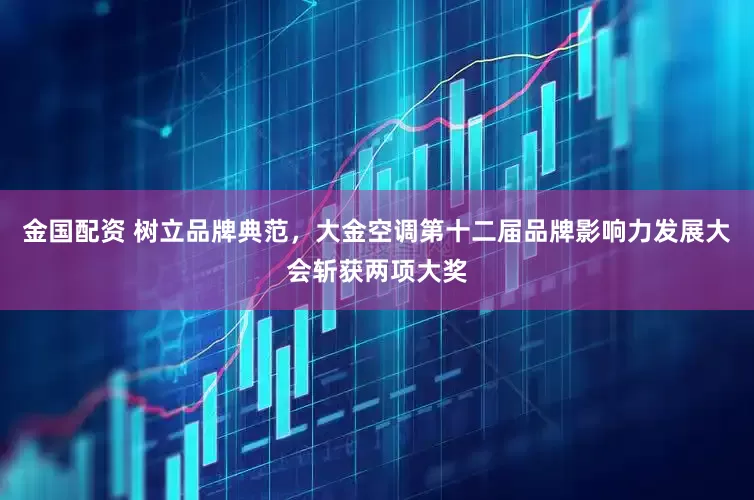 金国配资 树立品牌典范，大金空调第十二届品牌影响力发展大会斩获两项大奖