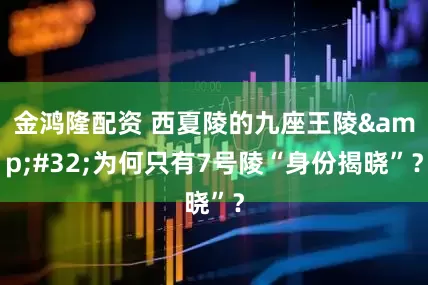 金鸿隆配资 西夏陵的九座王陵&#32;为何只有7号陵“身份揭晓”？